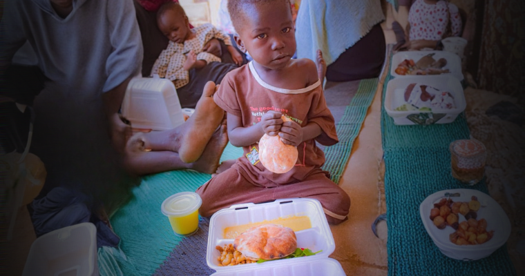 Sudan Emergency Appeal