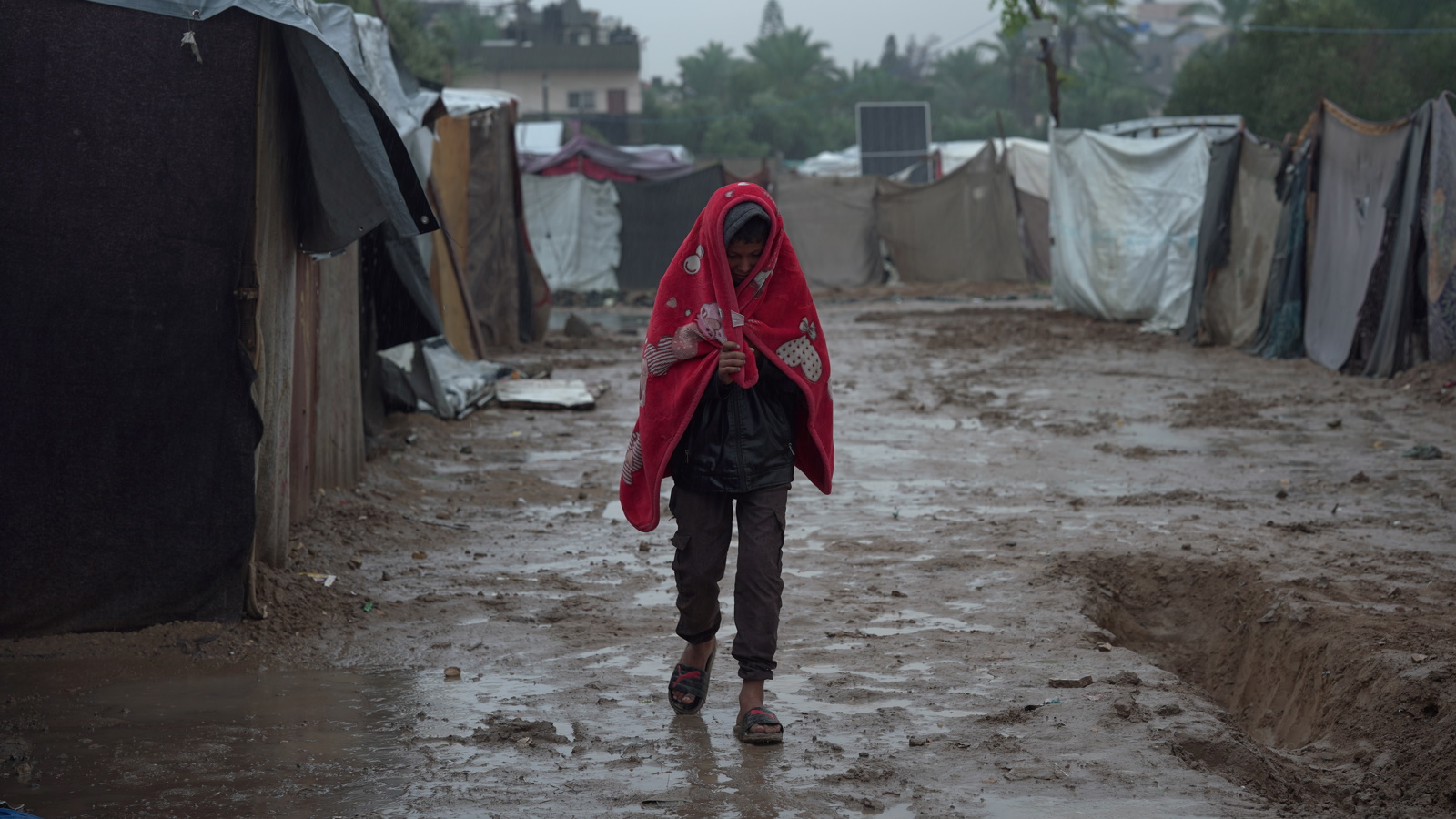 Gaza Floods Appeal
