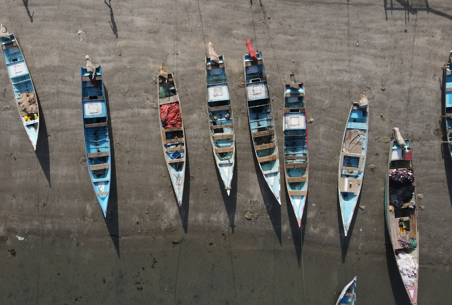 Yemen Fisheries