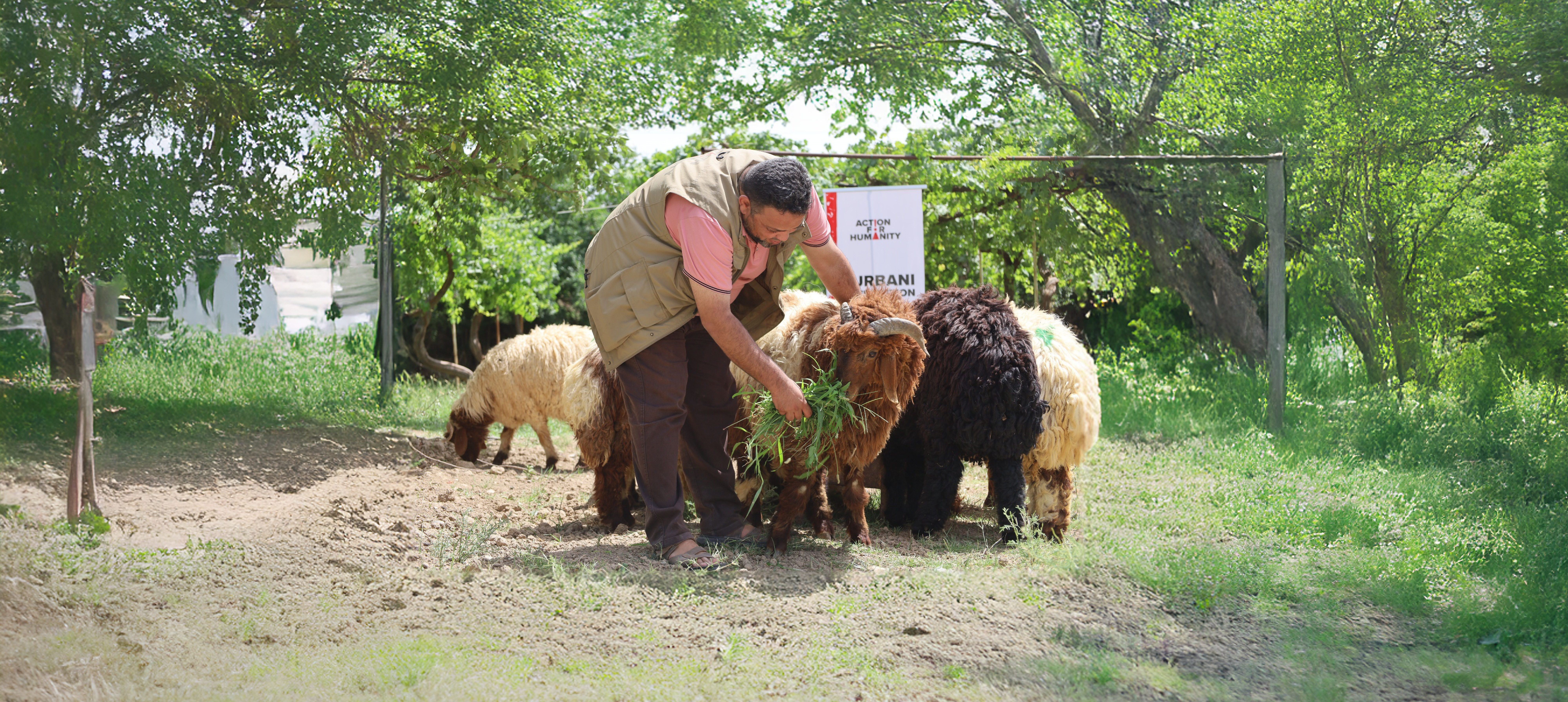 qurbani 2026