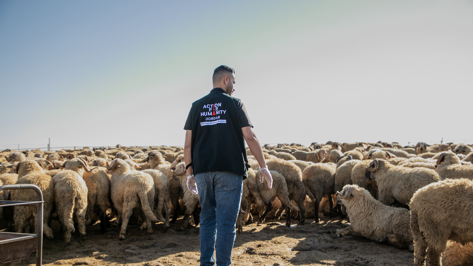 Qurbani Feedback