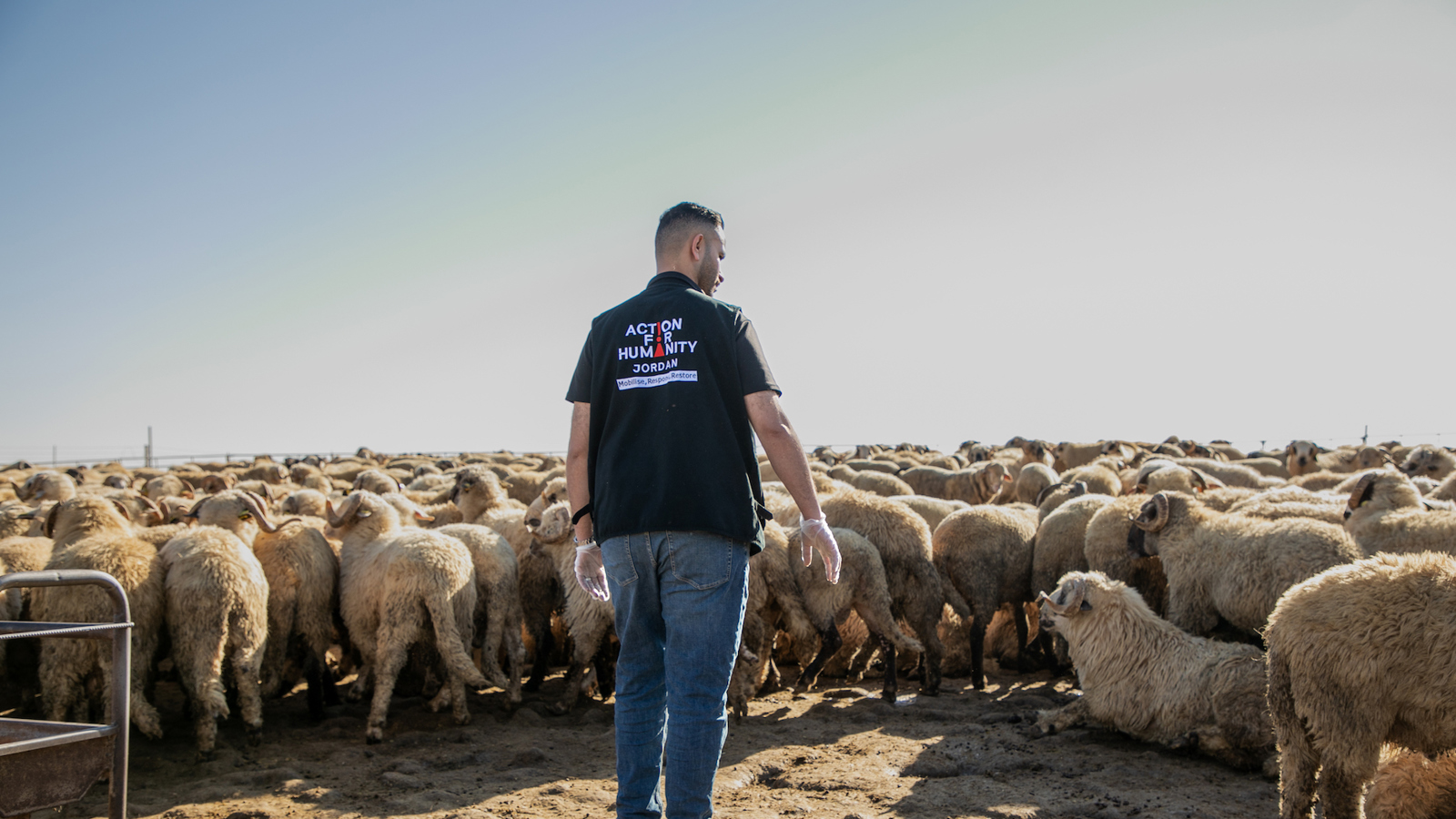 jordanqurbani1