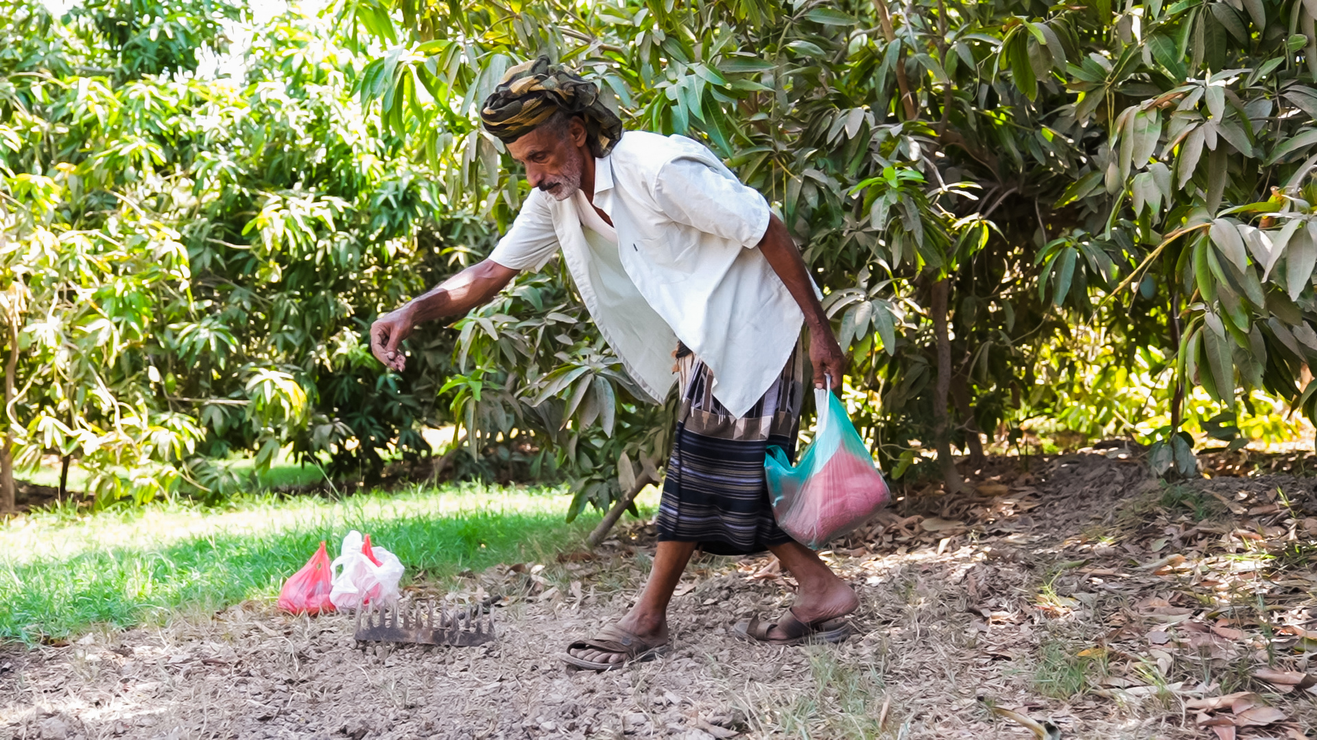 Yemenfarmer1