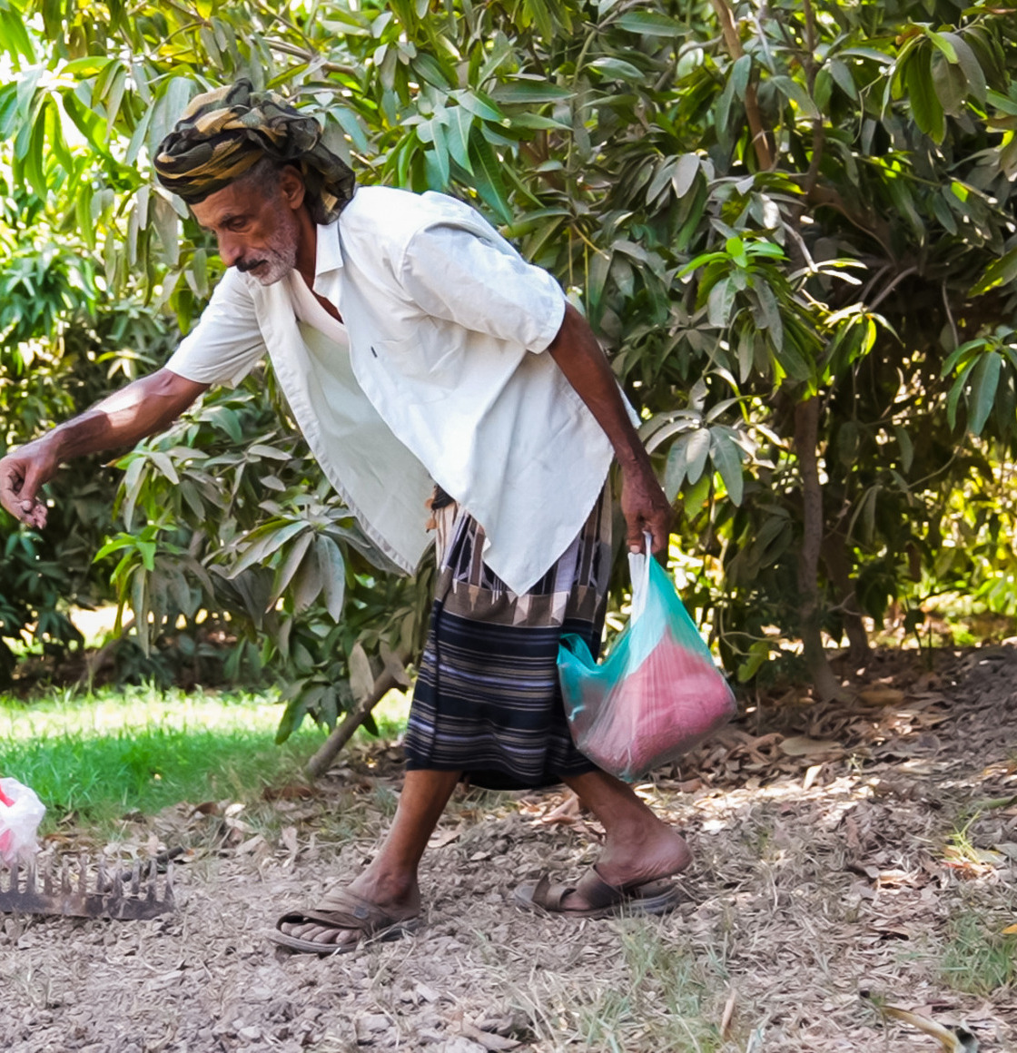 yemenfarmer