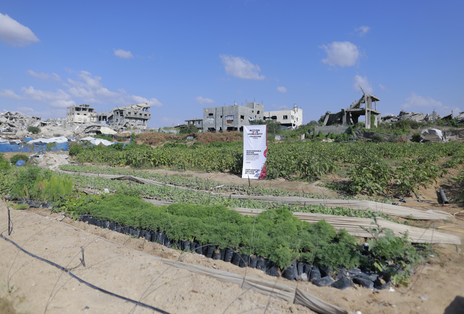Restoring Clean Water and Livelihoods in Gaza